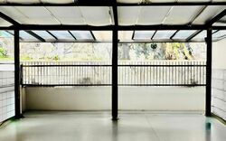 Mount Sinai (D10), Terrace #471353311